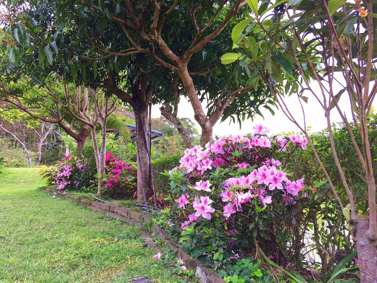 Jiu An Qing Jing Homestay Fuli Exteriör bild